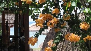 Uma trilha leva a uma construção rústica de madeira com telhado de palha, cercada por vegetação exuberante e flores amarelas vibrantes.