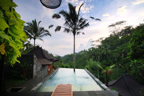 View from property - DD Ubud Villa (Tegallalang)