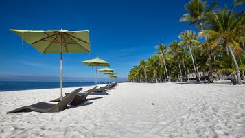 A beach with rows of lounge chairs and umbrellas, palm trees, and the ocean in the background.