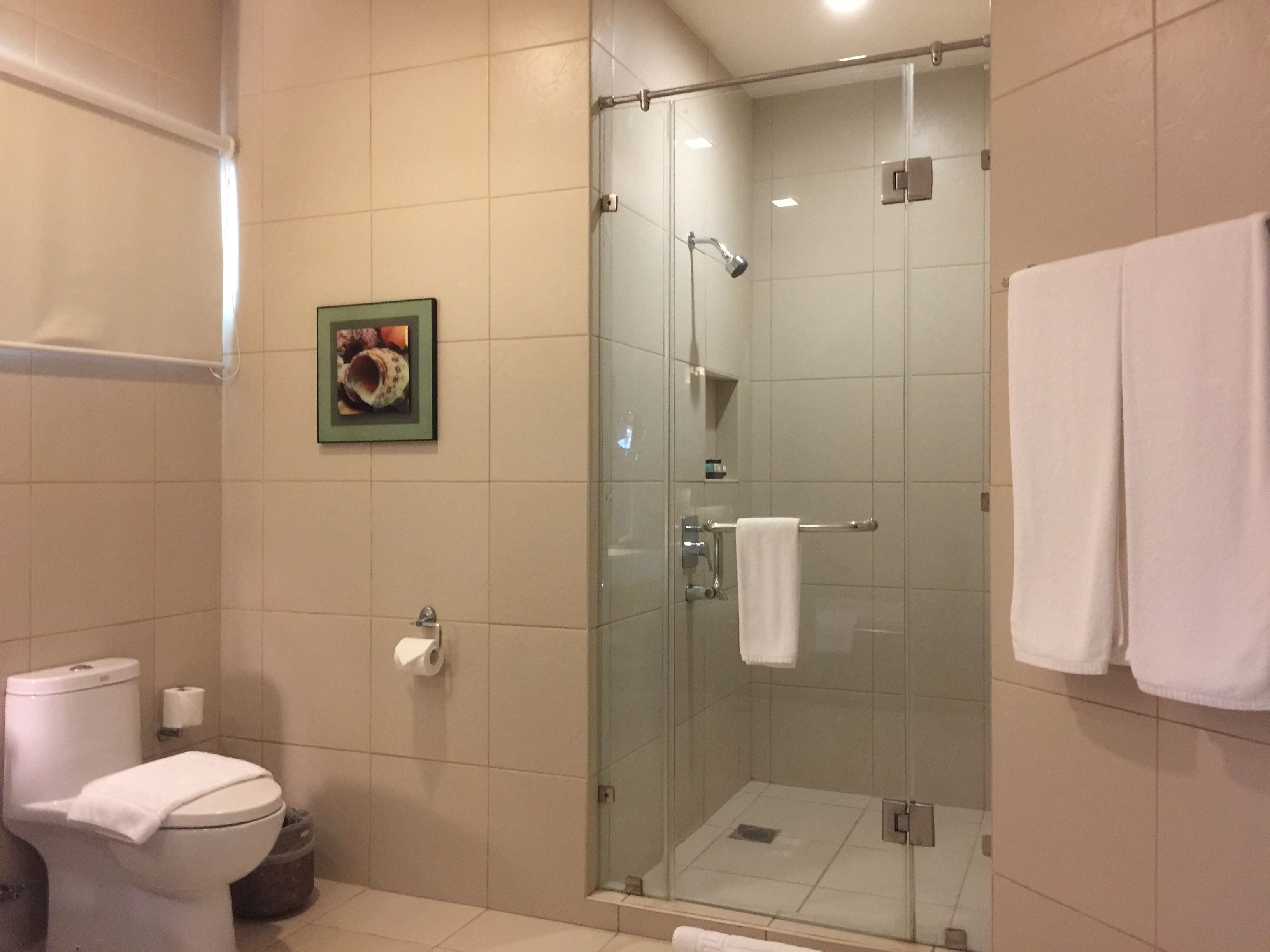 A bathroom with a glass-enclosed shower, a toilet, and a framed picture on the wall.