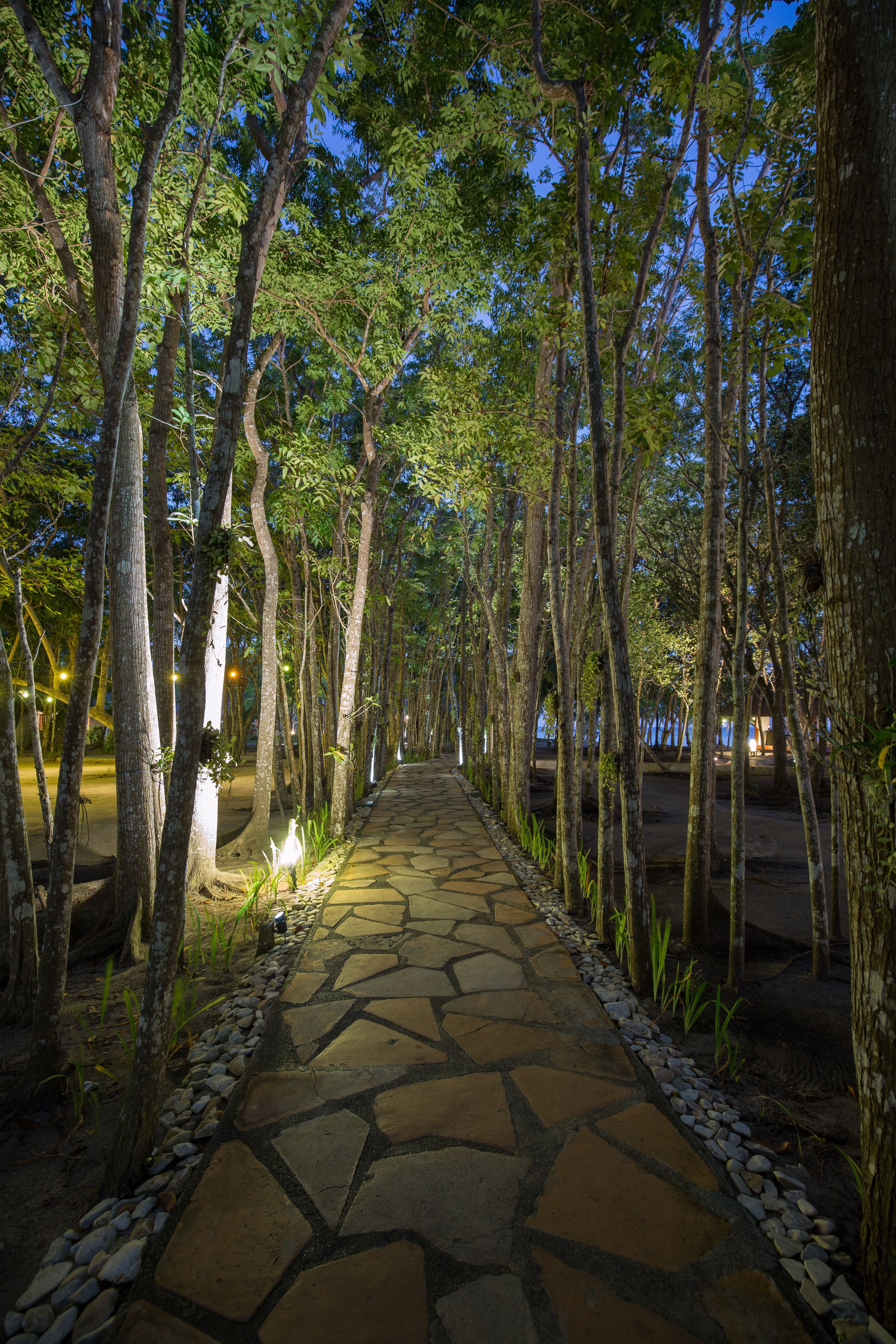 premium double or twin room beach front  | view from room