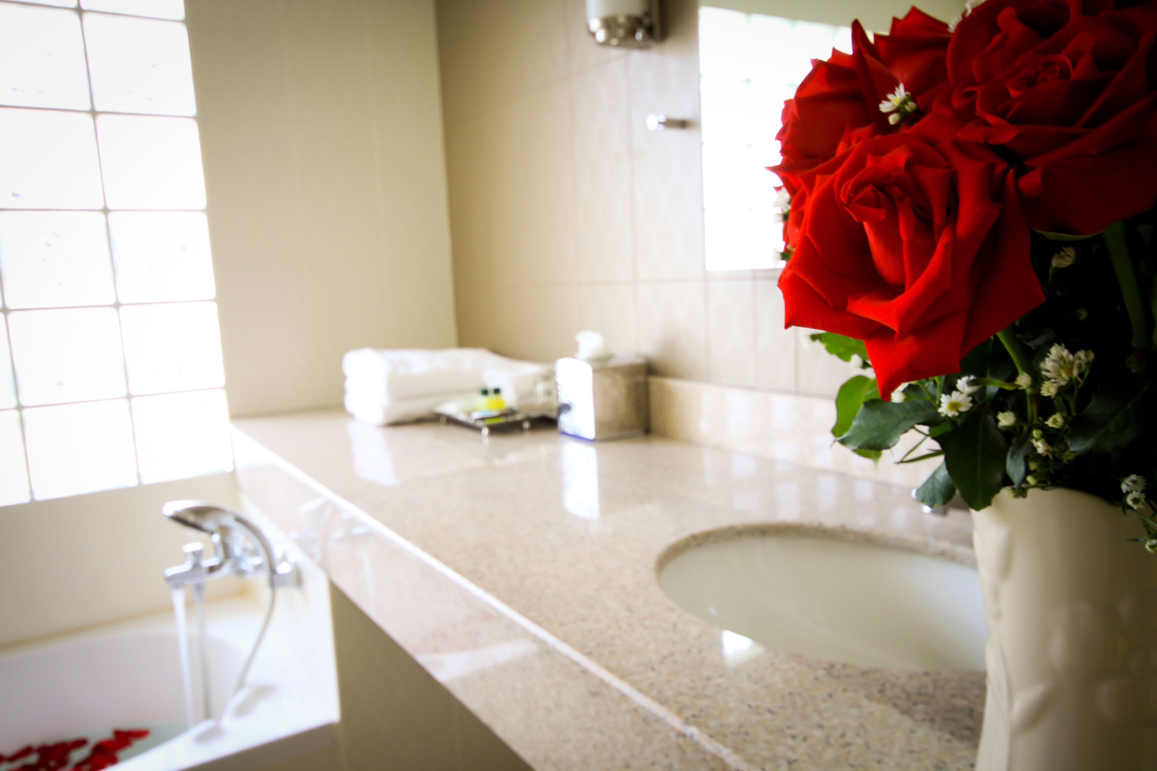 deluxe room | bathroom sink