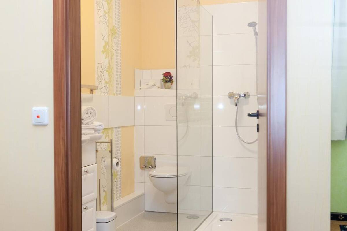 shower, rainfall showerhead, free toiletries, hair dryer