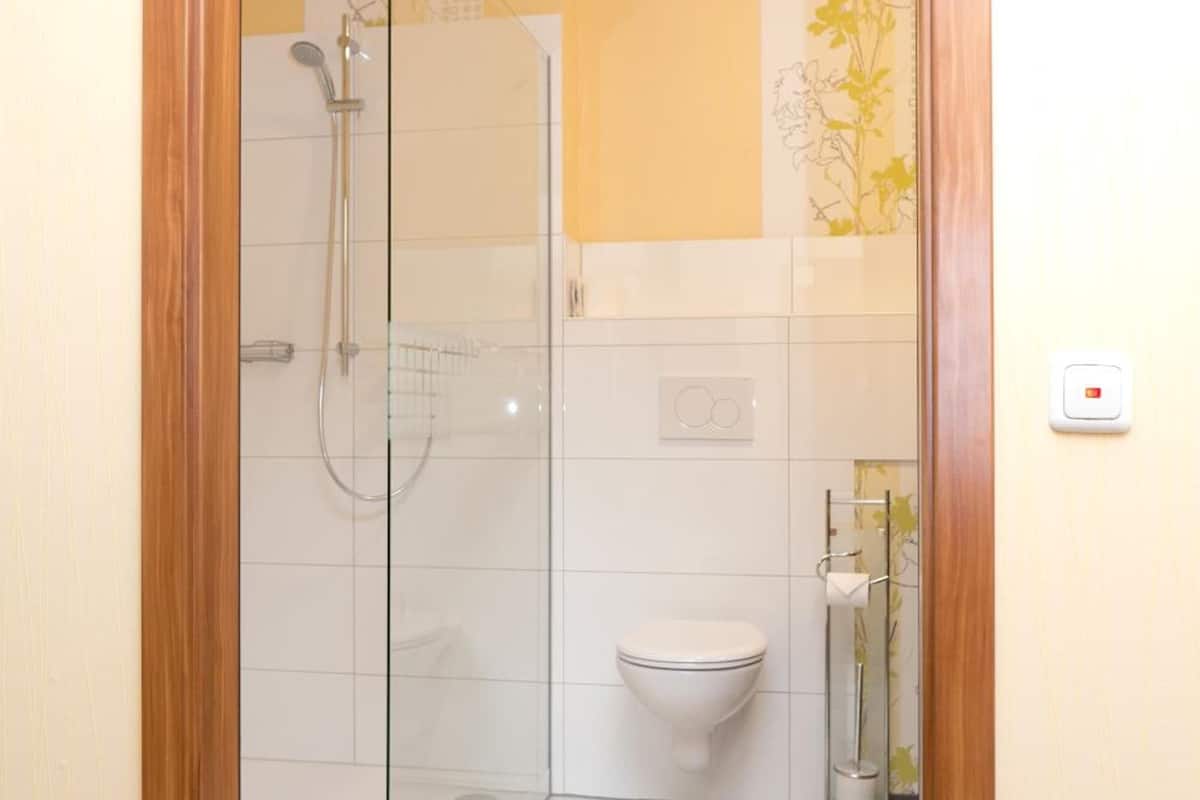 shower, rainfall showerhead, free toiletries, hair dryer