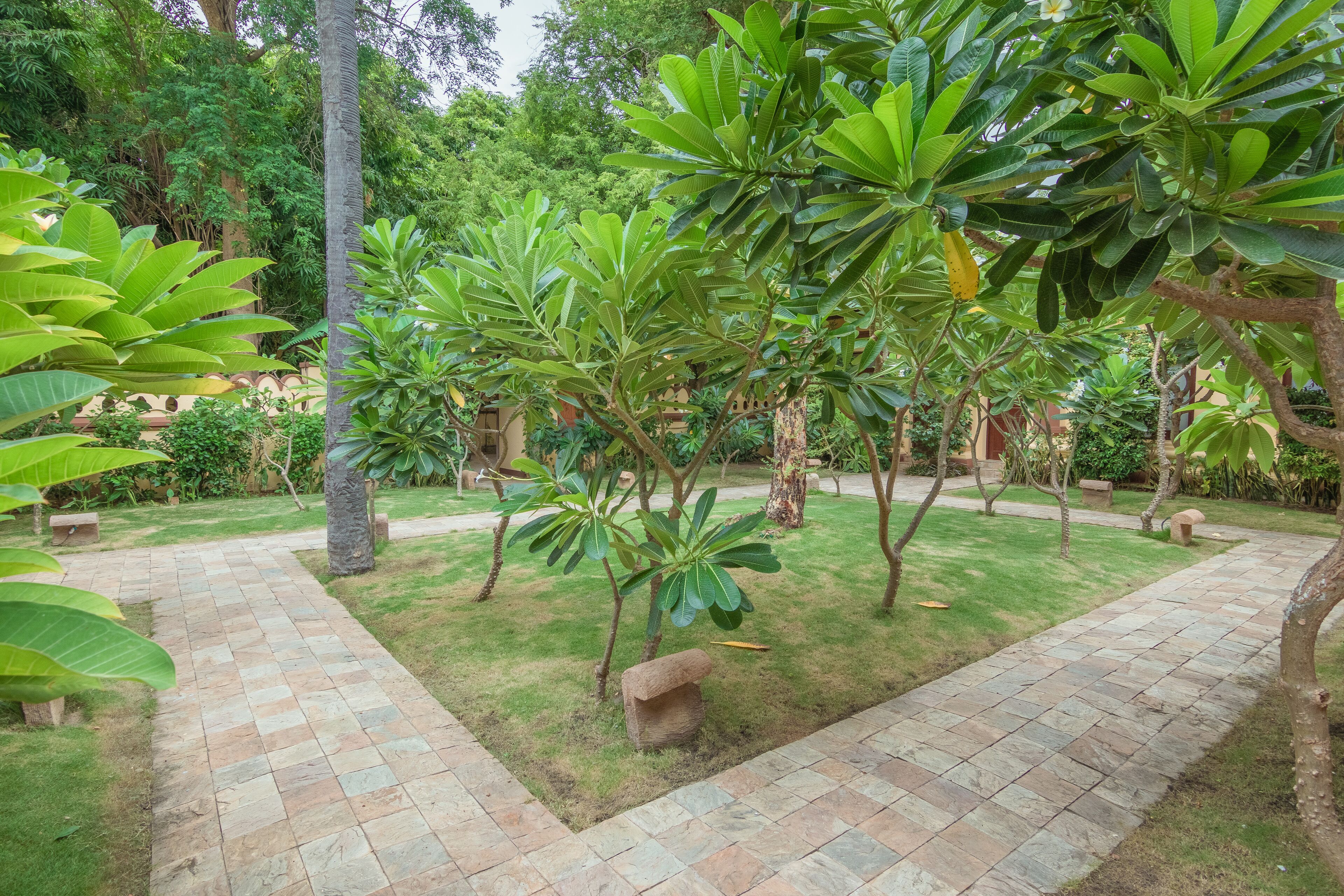 Un jardín con un sendero adoquinado, varios árboles y un banco de piedra.