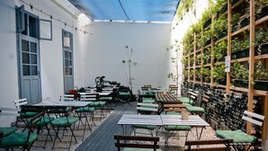 Bar (en la propiedad)