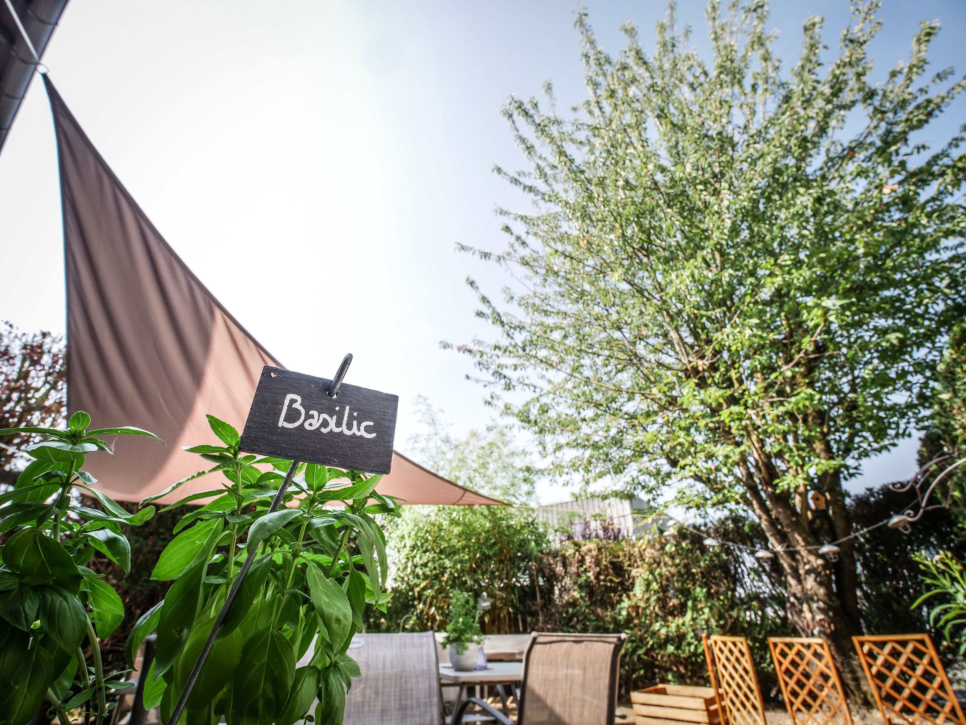 Terrasse/gårdhave