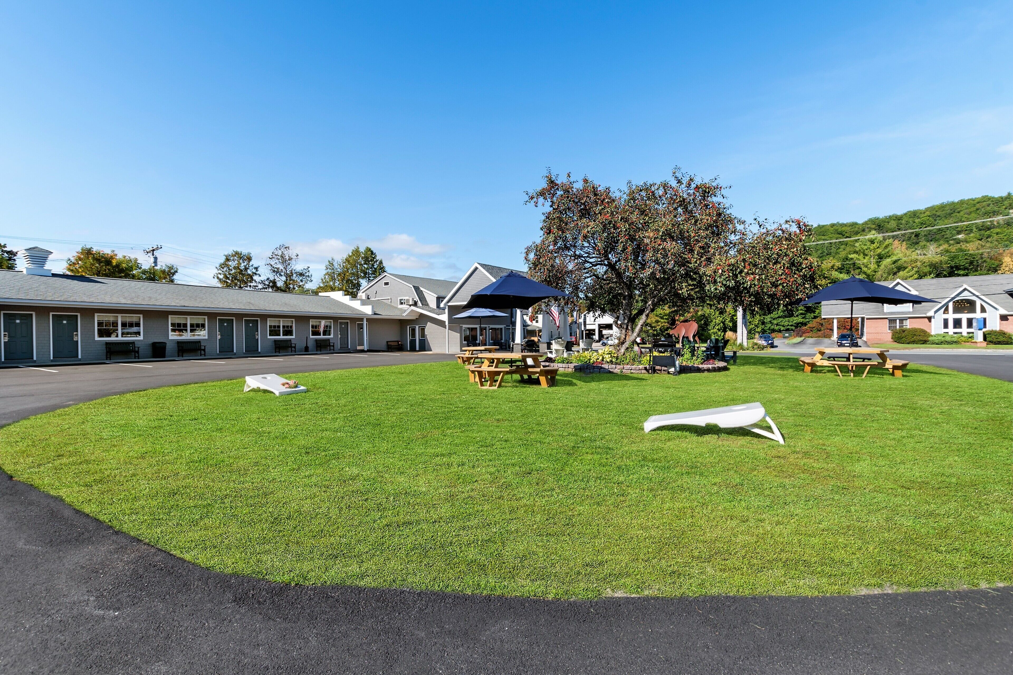 A motel with a grassy lawn, picnic tables, and a large tree.