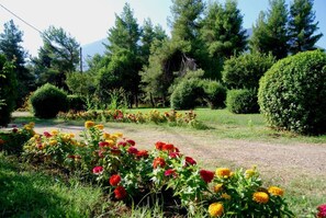Jardines del alojamiento