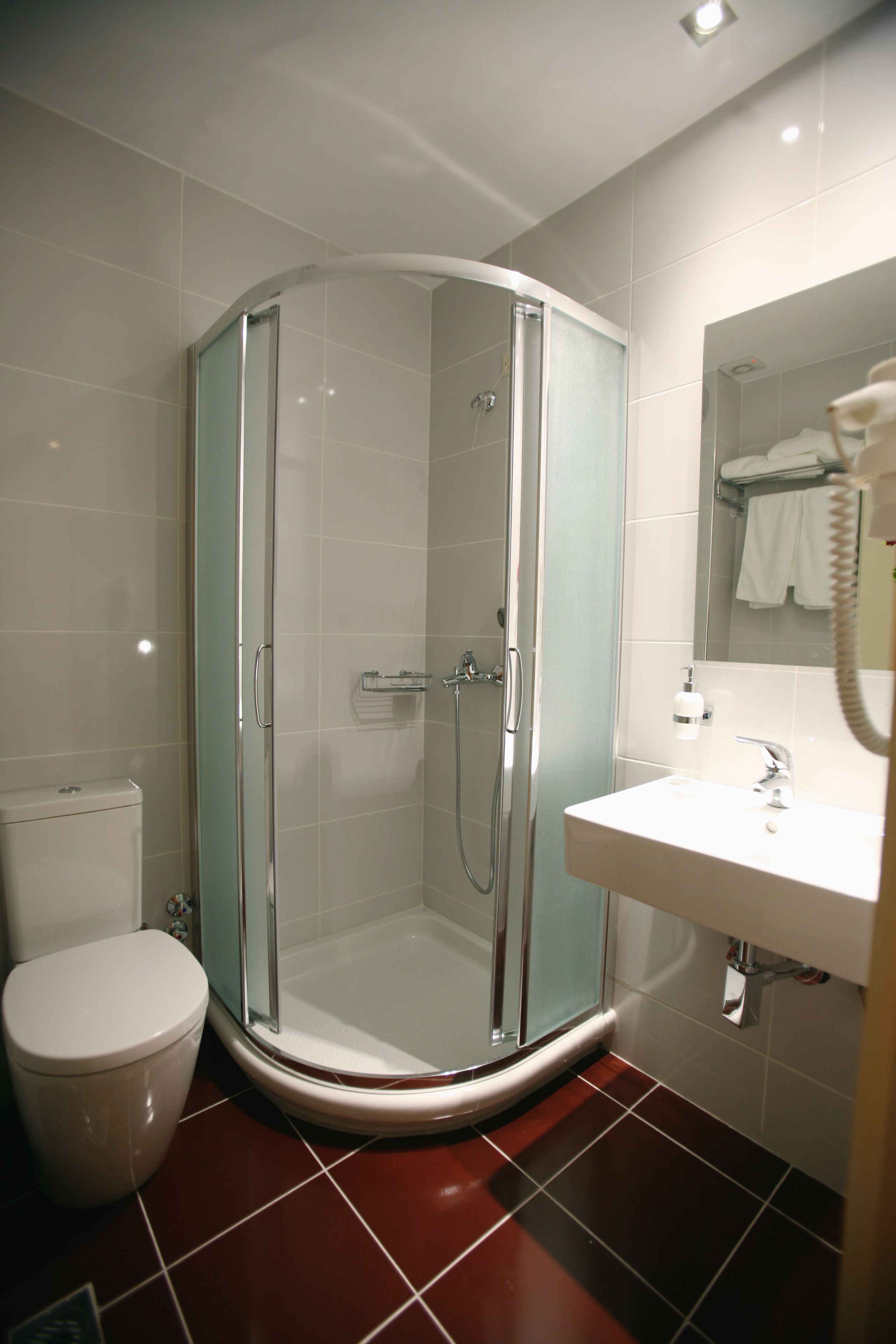 A modern bathroom with a glass-enclosed shower, a white toilet, and a sink with a mirror above it.