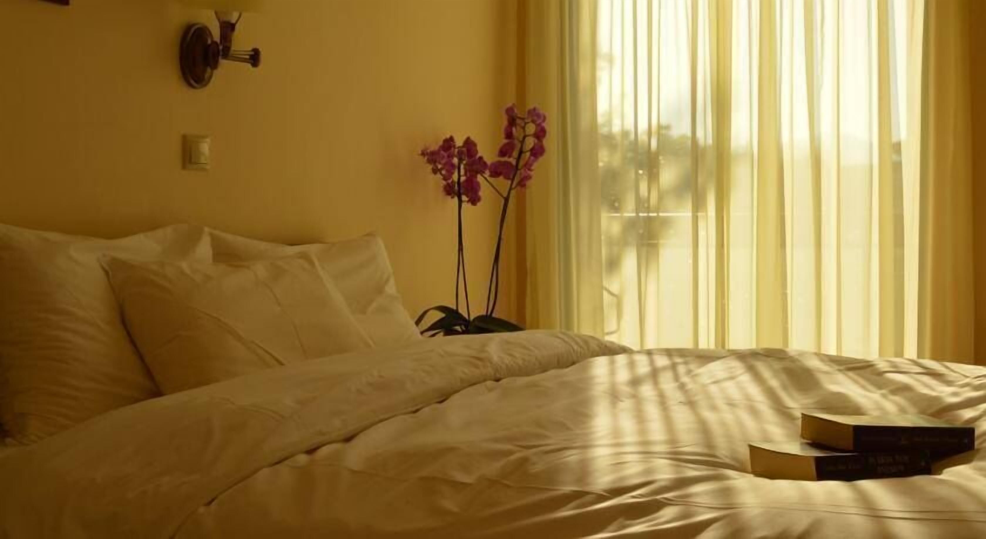 Hypo-allergenic bedding, in-room safe, individually decorated