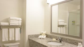 Un baño con lavamanos de encimera de granito, un espejo grande y toallas ordenadas en estante y toallero.