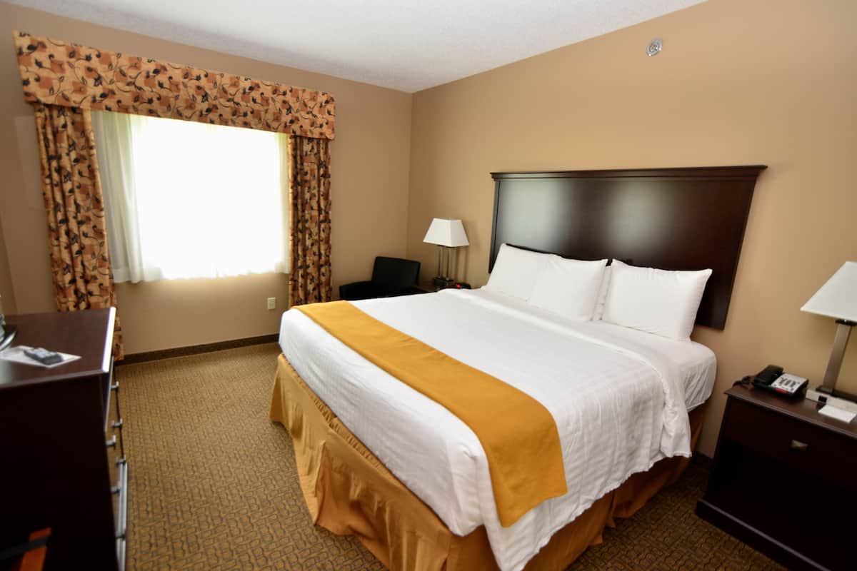 A hotel room with a large bed, a desk, a chair, a nightstand, and a lamp.