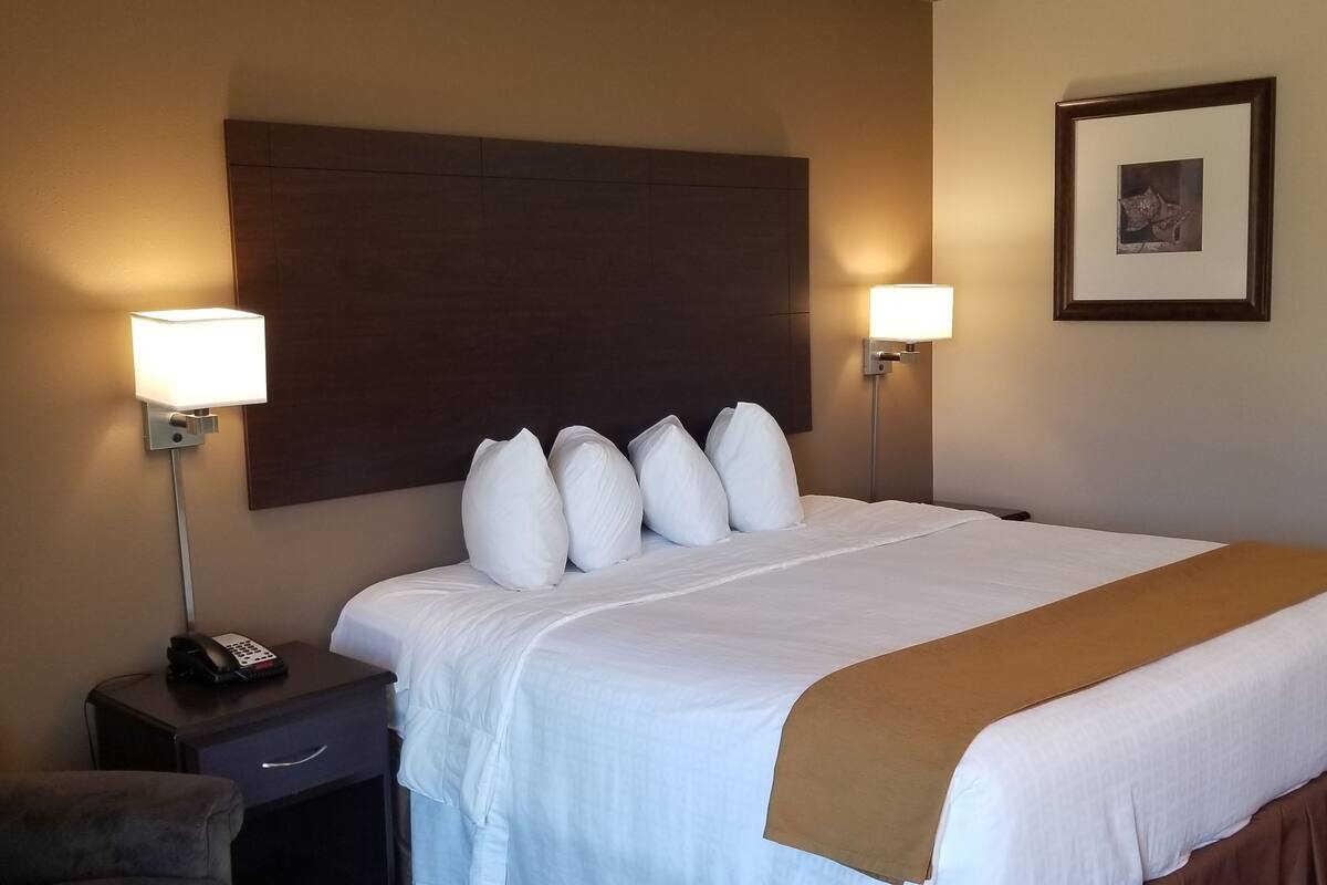 premium bedding, down duvets, pillow-top beds, desk