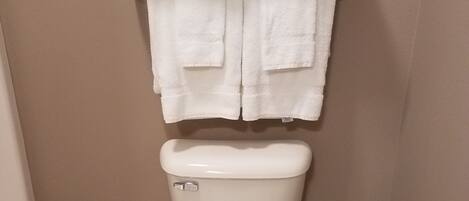 Un baño con inodoro, un perchero con toallas dobladas y un cubo de basura.