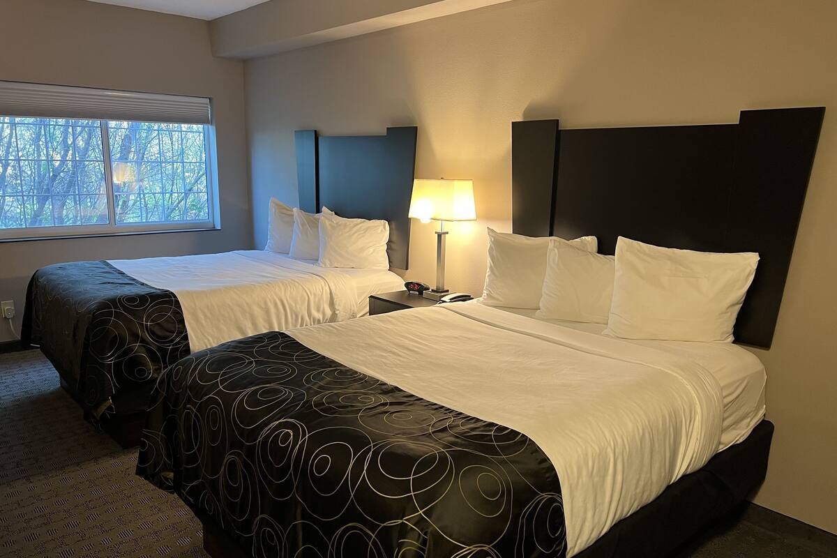 Habitación de hotel con dos camas, una mesita de noche con lámpara y ventana con vista a árboles.