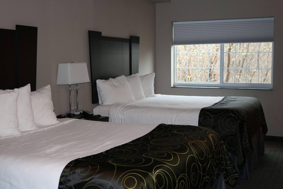 Una habitación de hotel con dos camas, una mesita de noche, una lámpara y una ventana con vistas a árboles.