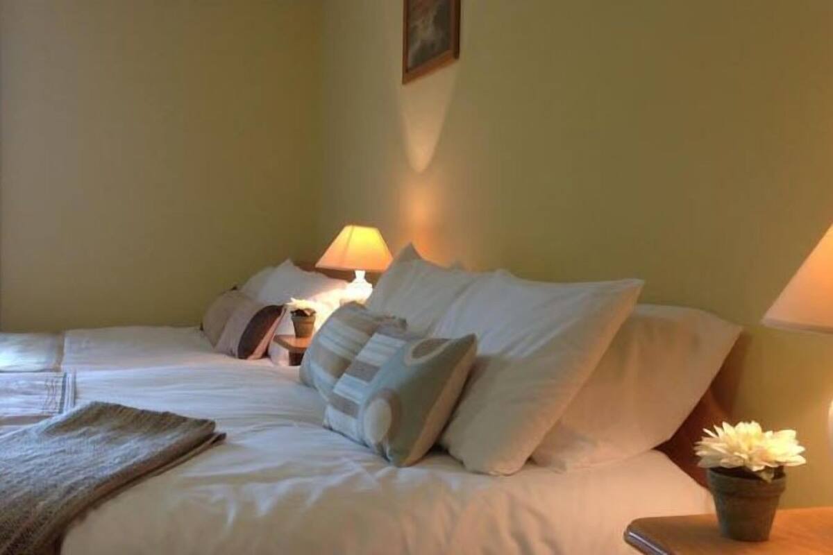 A neatly made bed with white linens and pillows, a bedside lamp, and a small potted plant on the nightstand.
