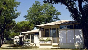 Une rangée de maisons mobiles dotées de vérandas attenantes, entourées d’arbres.