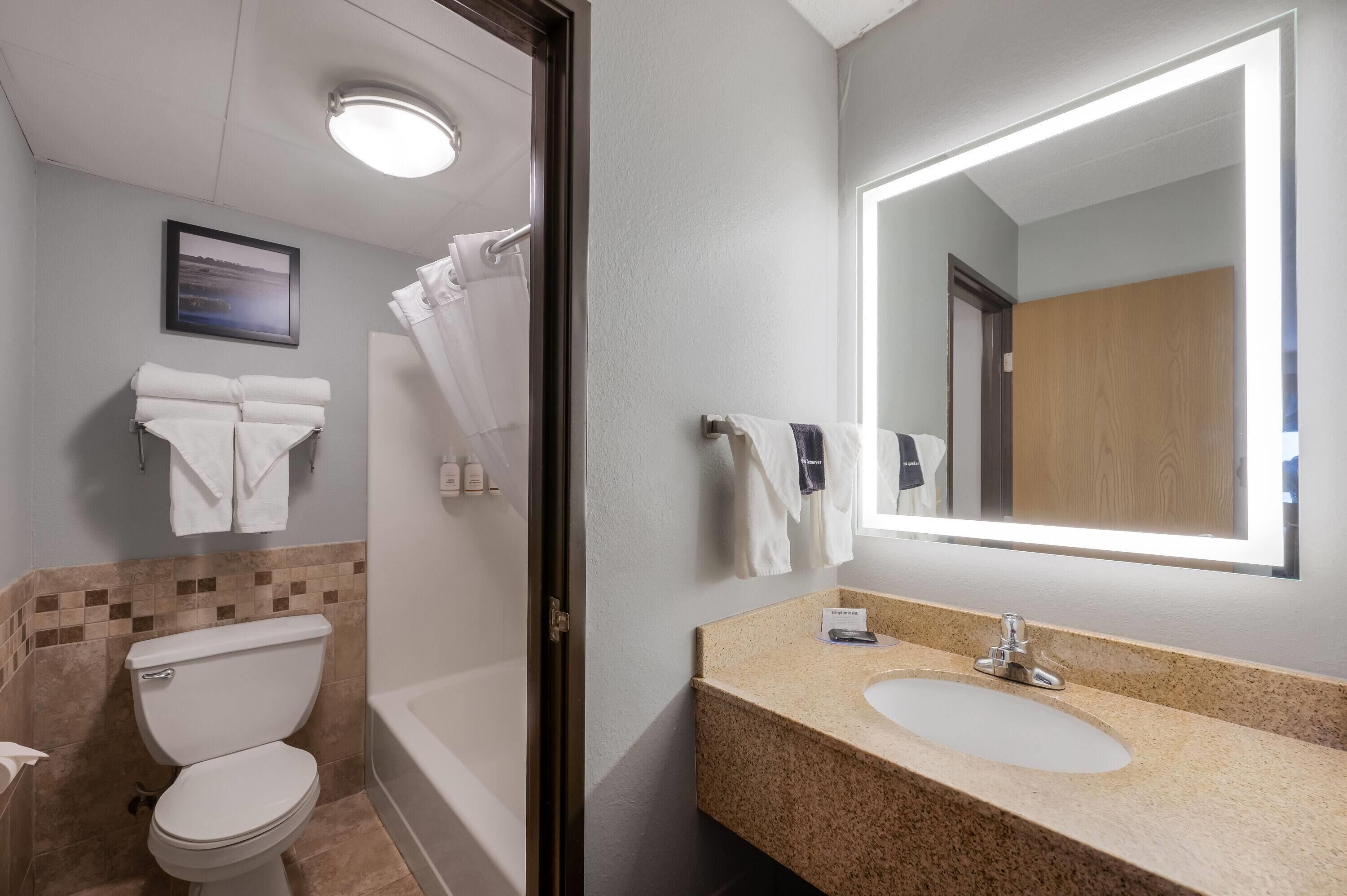 Baño con inodoro, lavabo y zona de ducha.