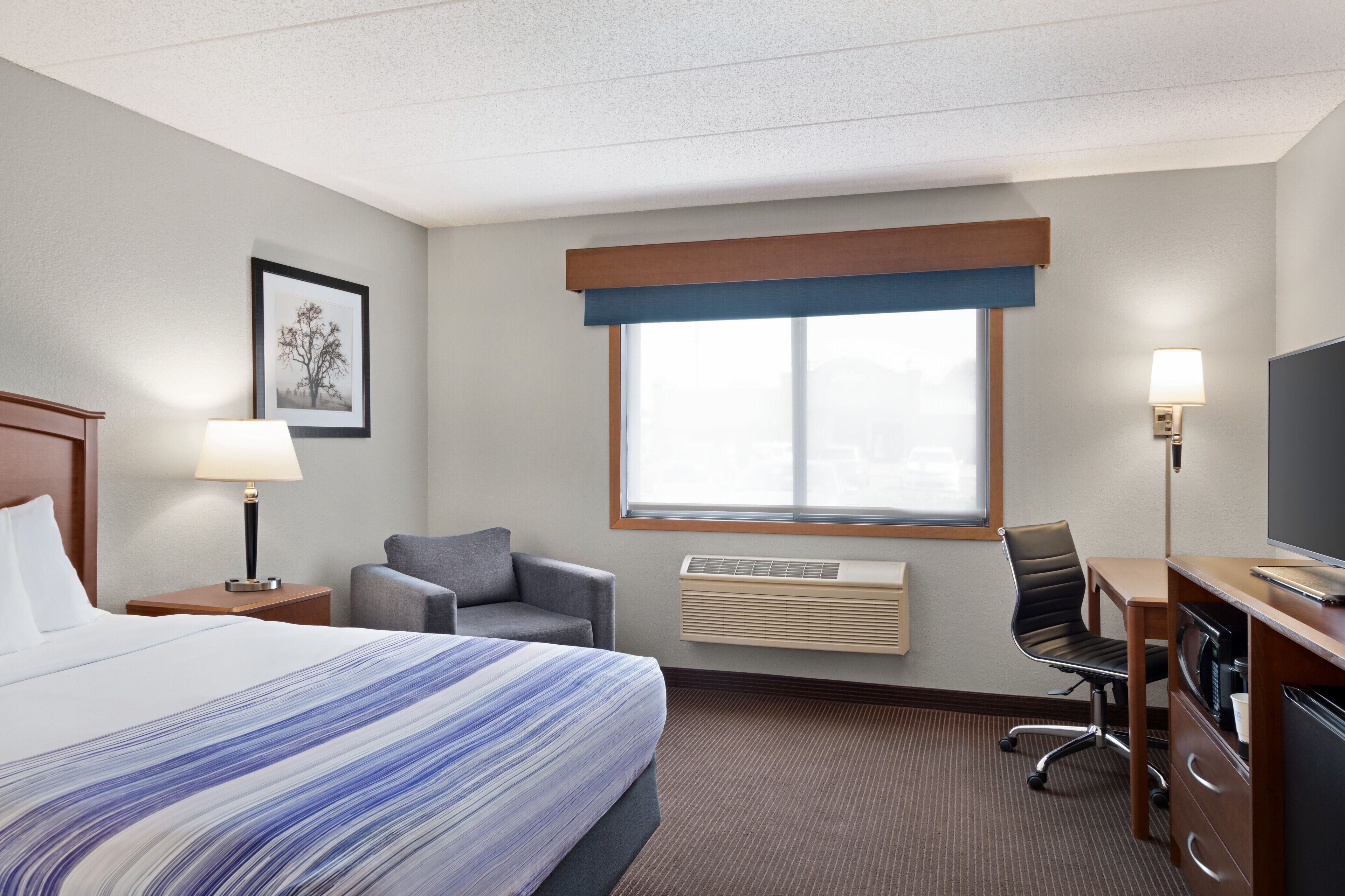 A hotel room with a bed, a desk, a chair, a TV, a lamp, and a window with blinds.