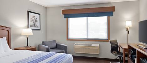 A hotel room with a bed, a desk, a chair, a TV, a lamp, and a window with blinds.