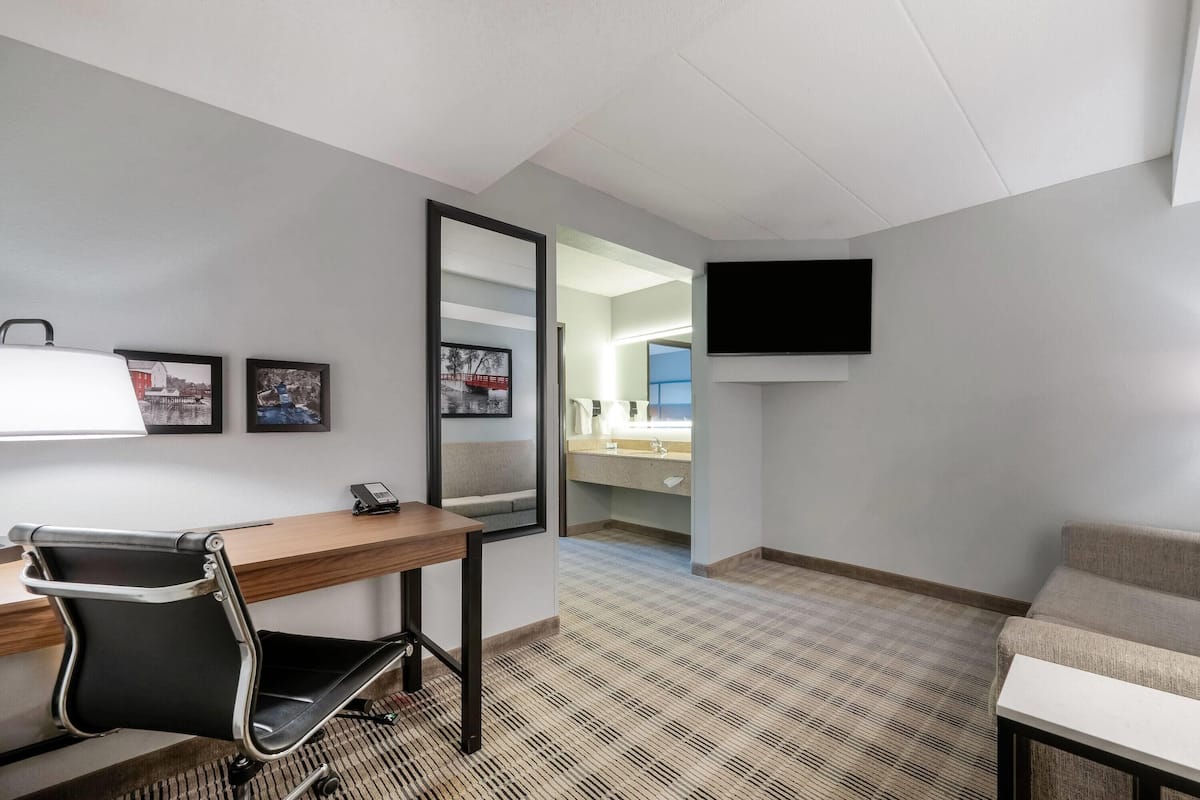 Suite, 1 King Bed with Sofa bed, Non Smoking