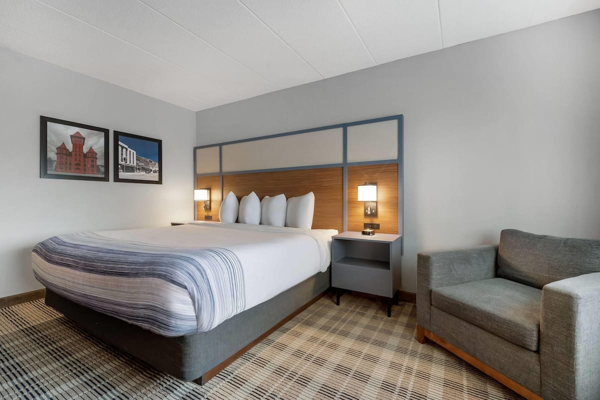 Room, 1 King Bed, Non Smoking
