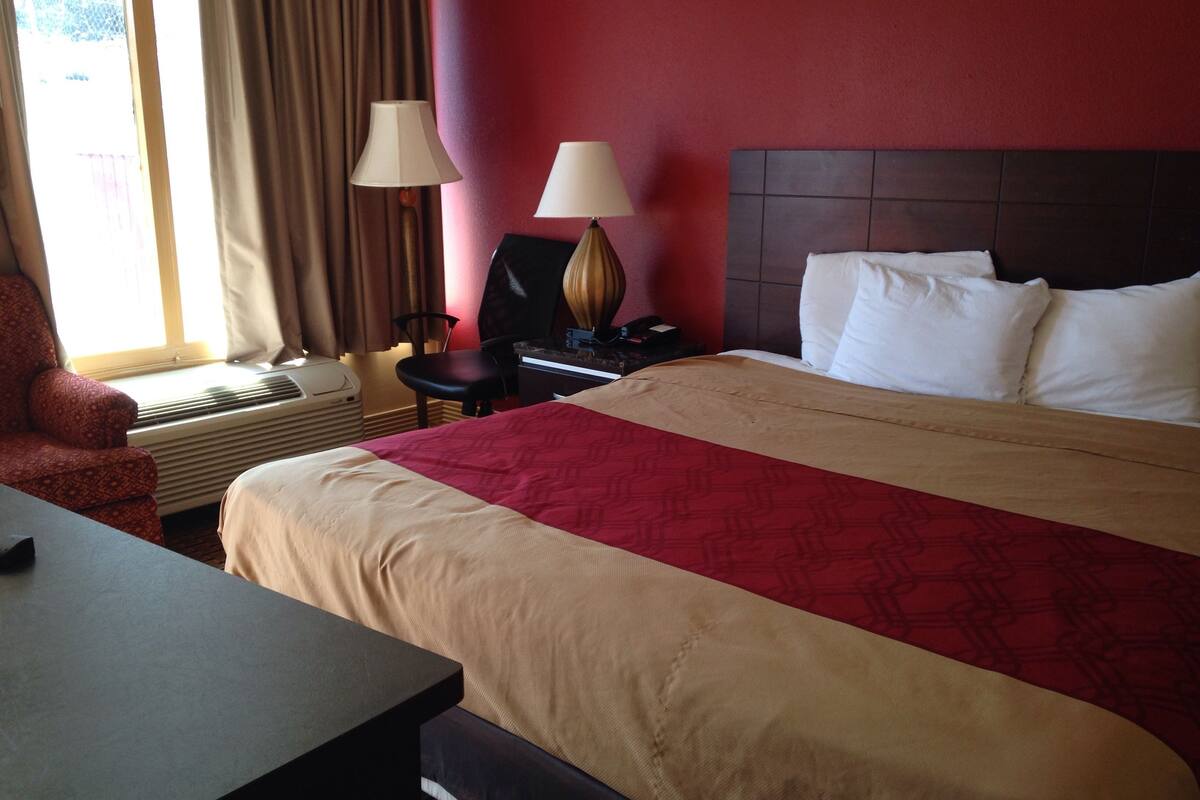 standard room, 1 king bed, non smoking | desk, laptop workspace, iron/ironing board, free wifi