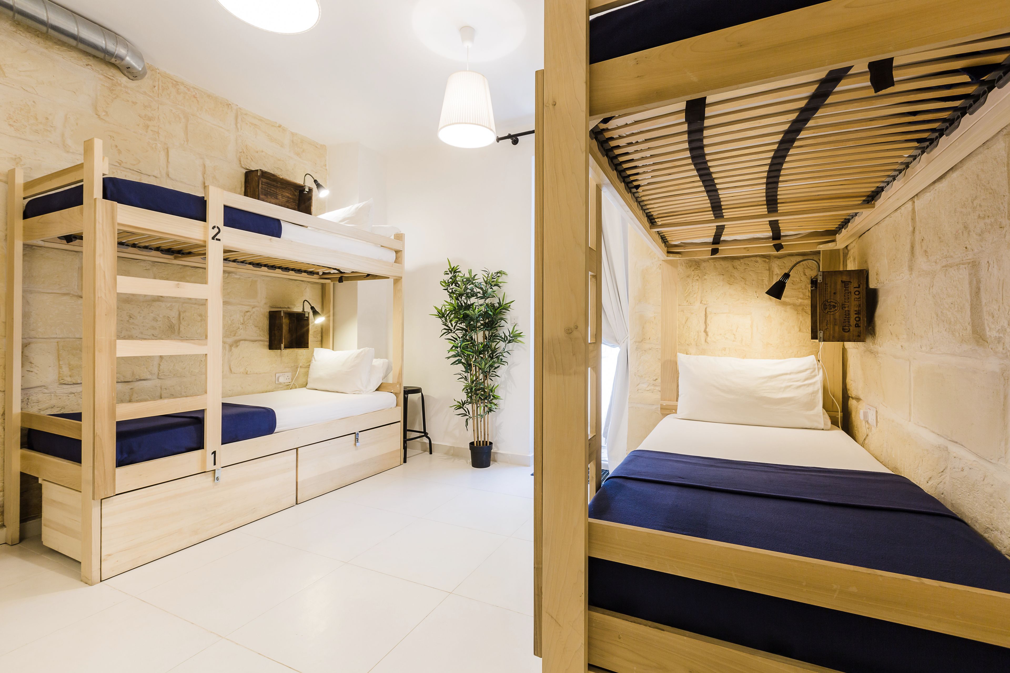 A room with bunk beds, a potted plant, and a small table.