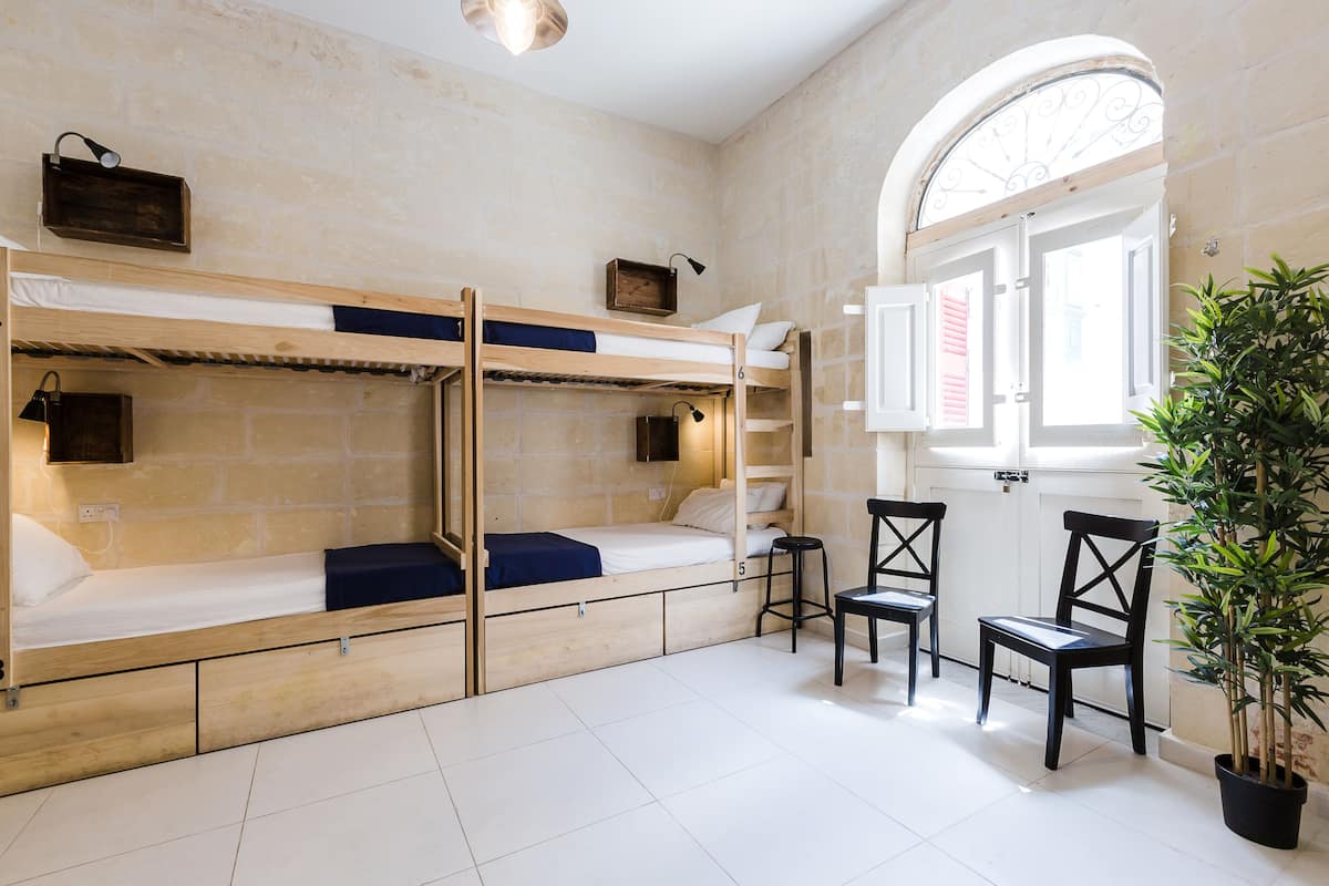 A room with bunk beds, a potted plant, and a window with curtains.
