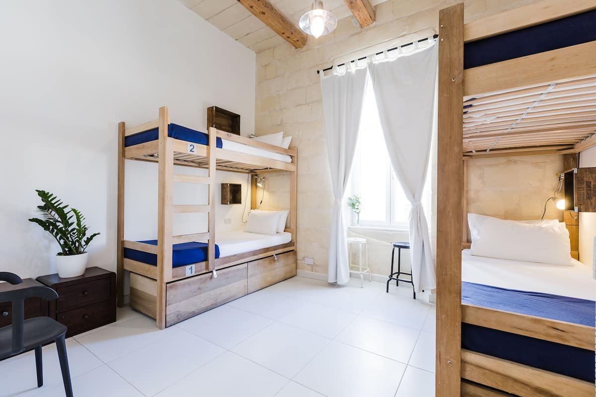 A dormitory room with bunk beds, a desk, a chair, a potted plant, and a window with curtains.