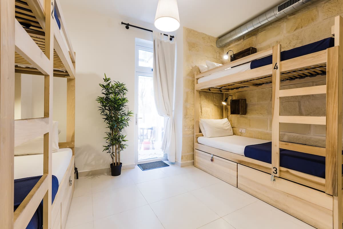 A room with bunk beds, a potted plant, and a window with curtains.