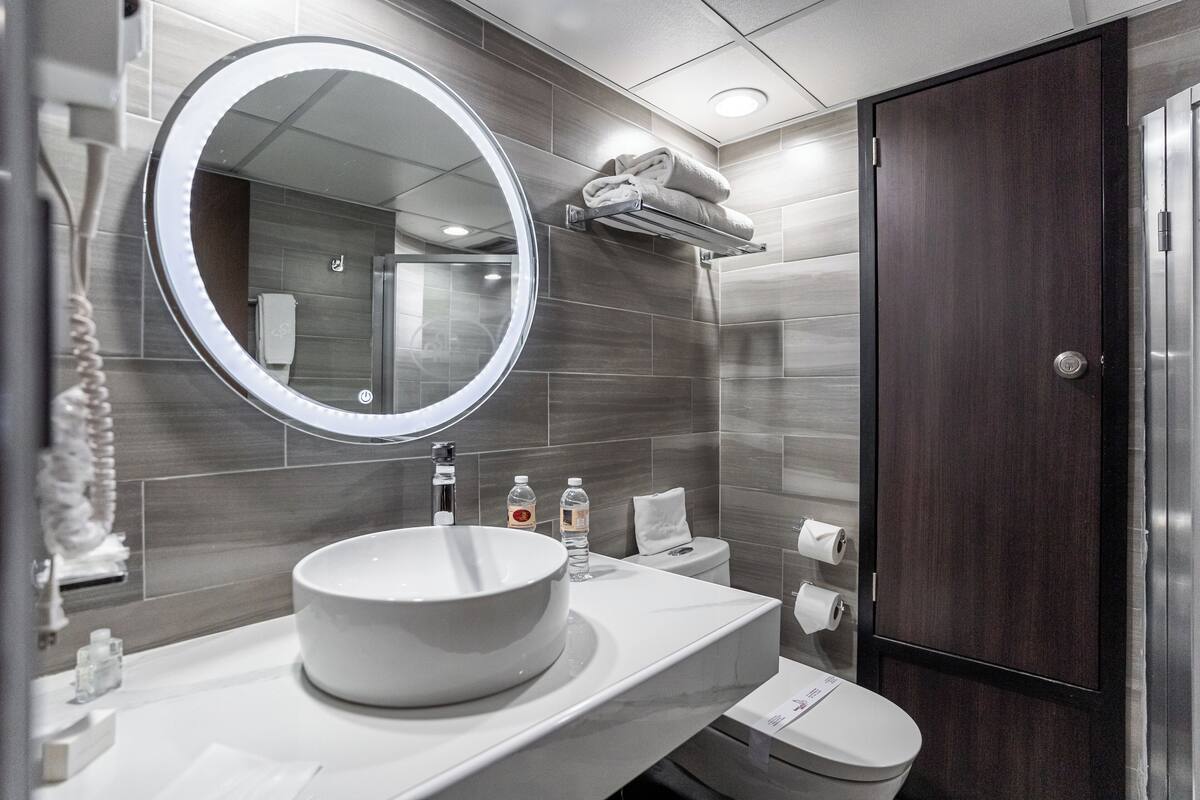 shower, free toiletries, hair dryer, towels