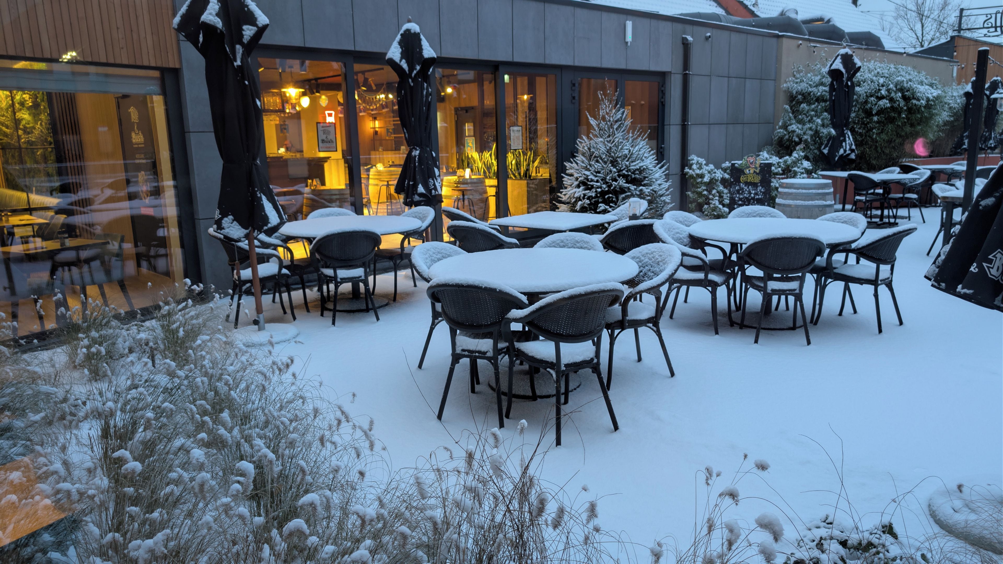 A snow-covered outdoor seating area with tables and chairs, a small Christmas tree, and a building with large windows.