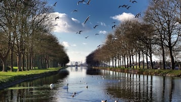 Un canal où nagent des cygnes et des oies, bordé d’arbres et avec un pont qui se dessine au loin.