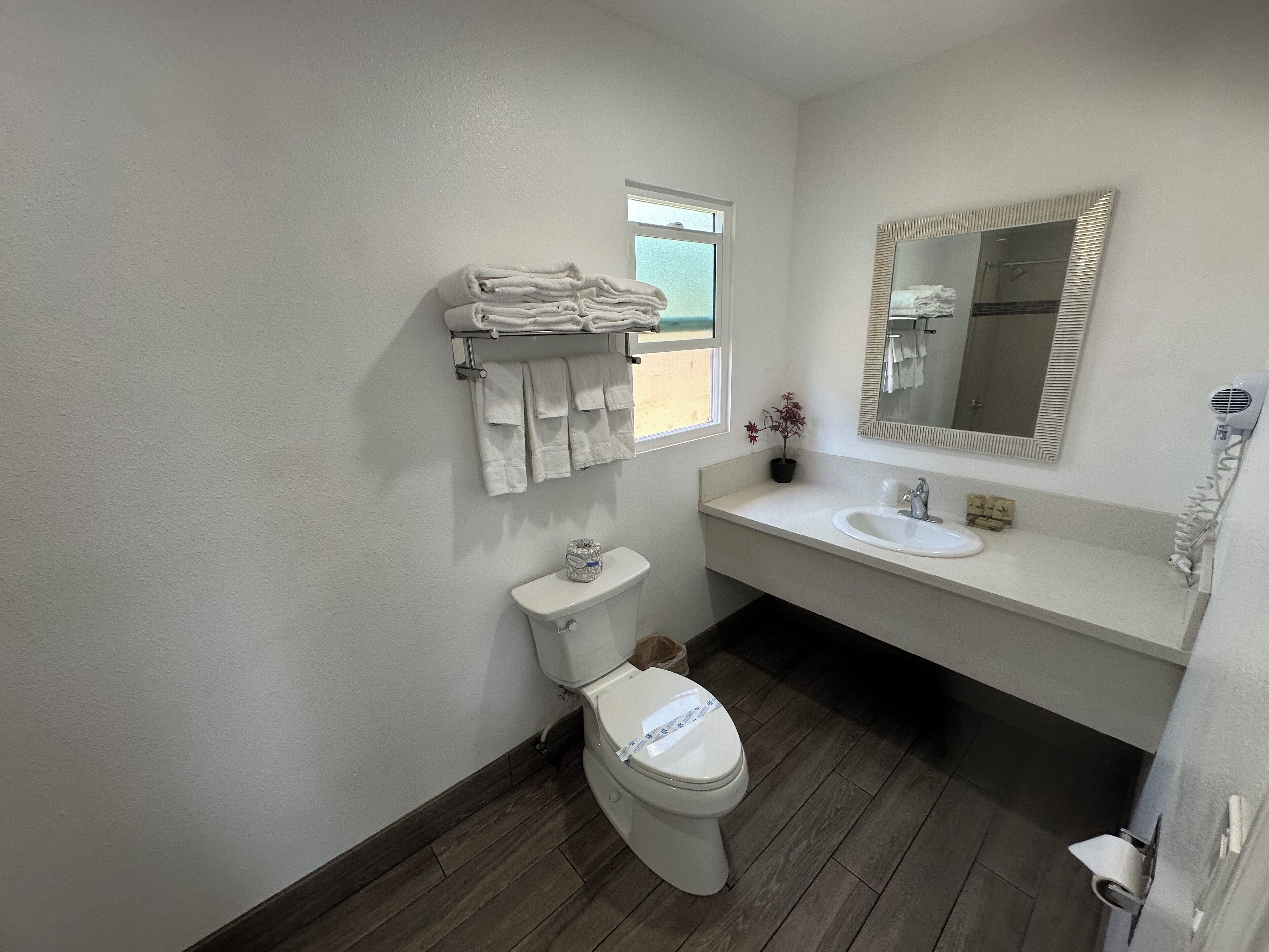 A bathroom with a toilet, sink, and mirror.