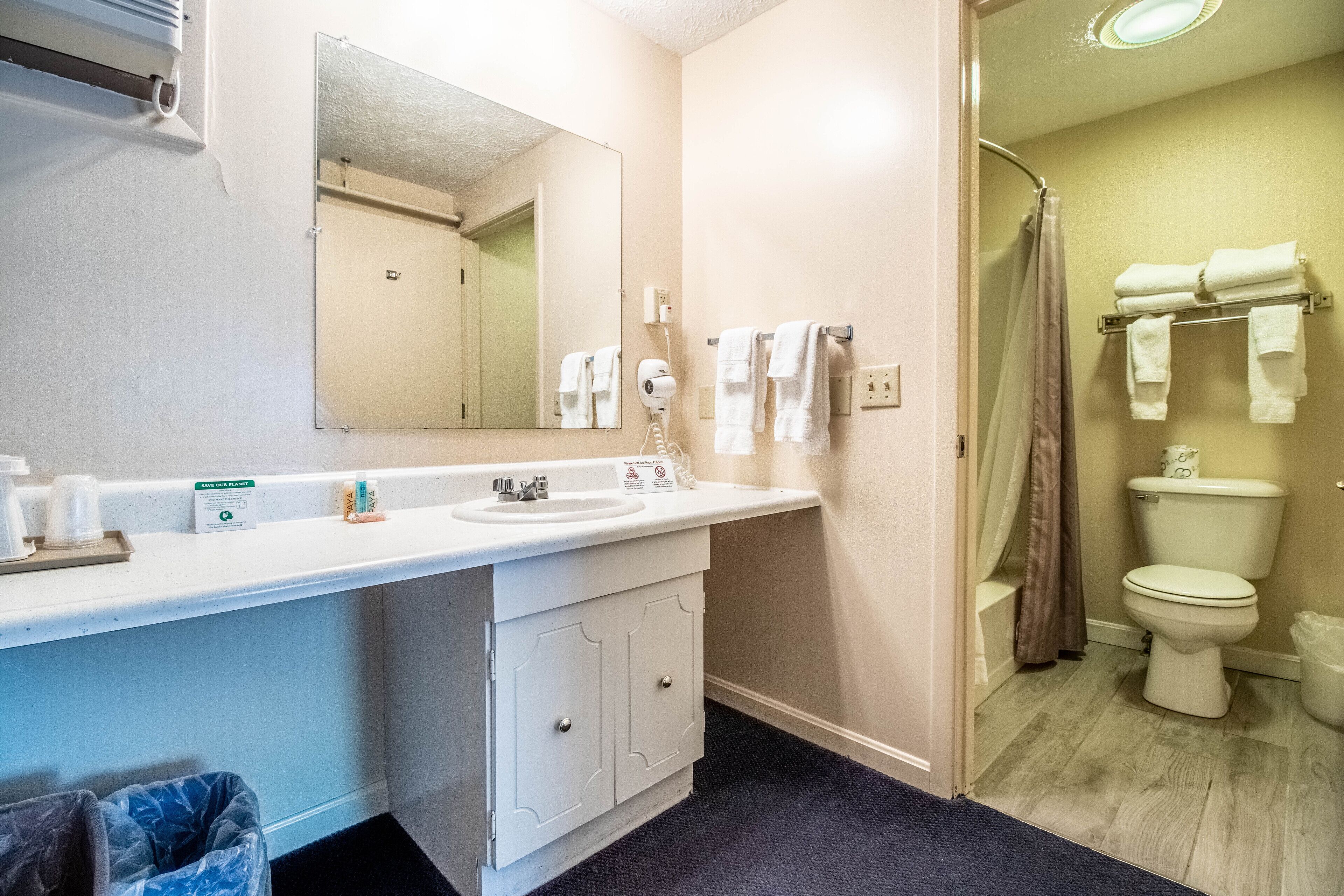 Une salle de bain avec un lavabo blanc, un miroir et un porte-serviettes. On peut voir un rideau de douche et des toilettes.