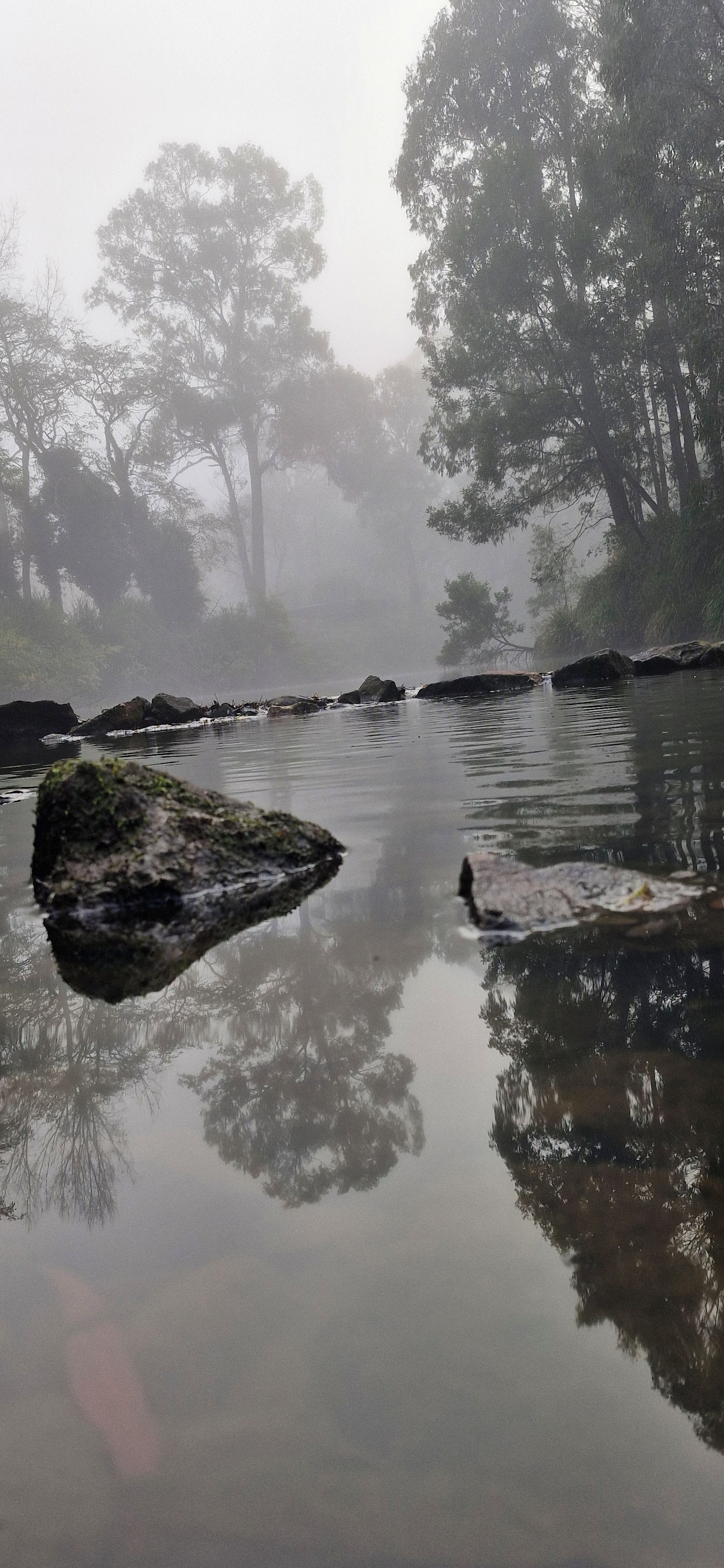 A calm river with rocks and trees in the background.