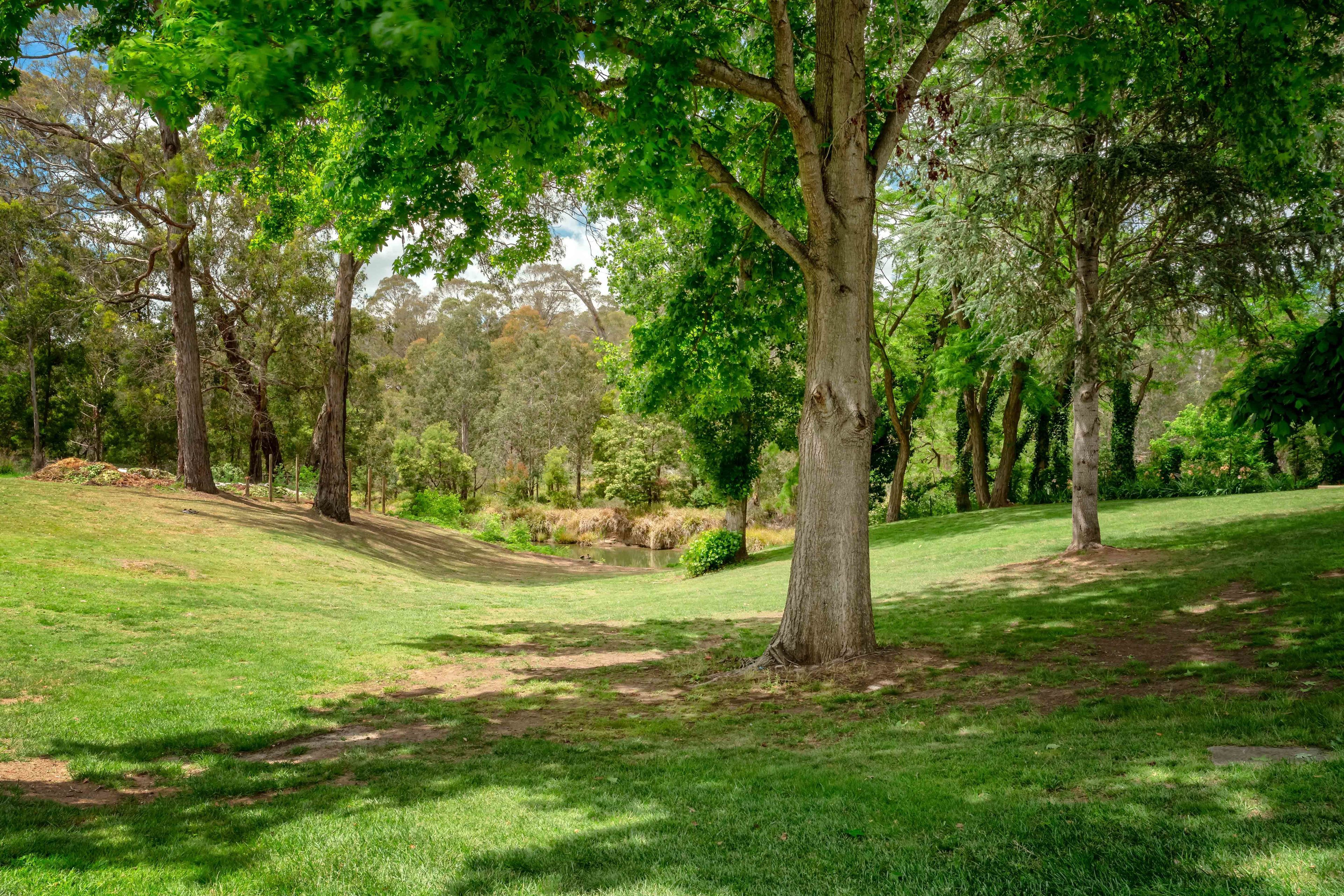 A park with a grassy area, trees, and a small body of water.