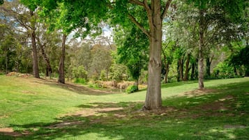A park with a grassy area, trees, and a small body of water.