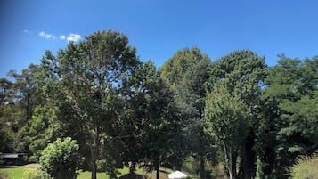 A park with trees, a bench, and a small building.