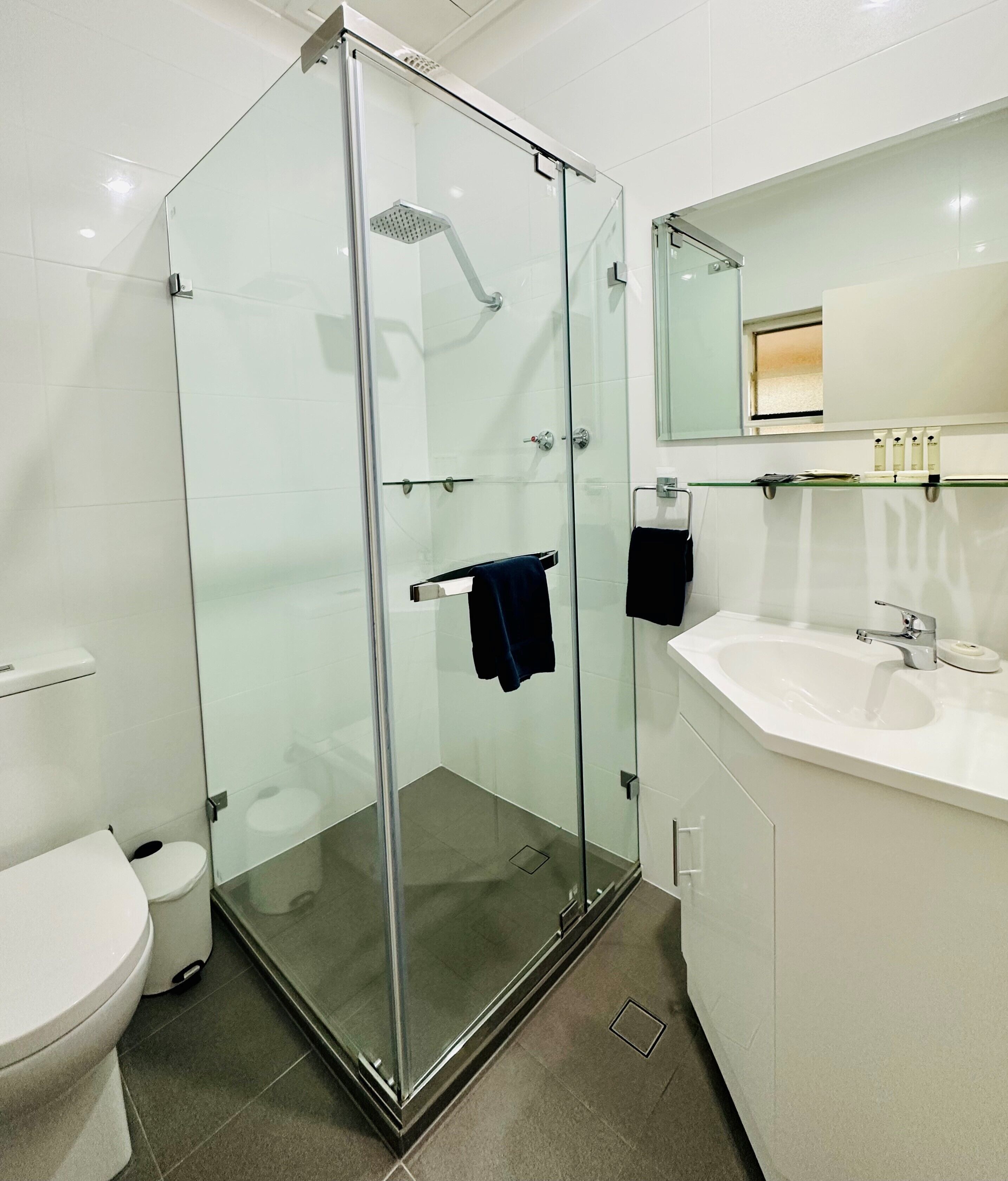 A modern bathroom with a glass-enclosed shower, a white sink, and a mirror above the sink.