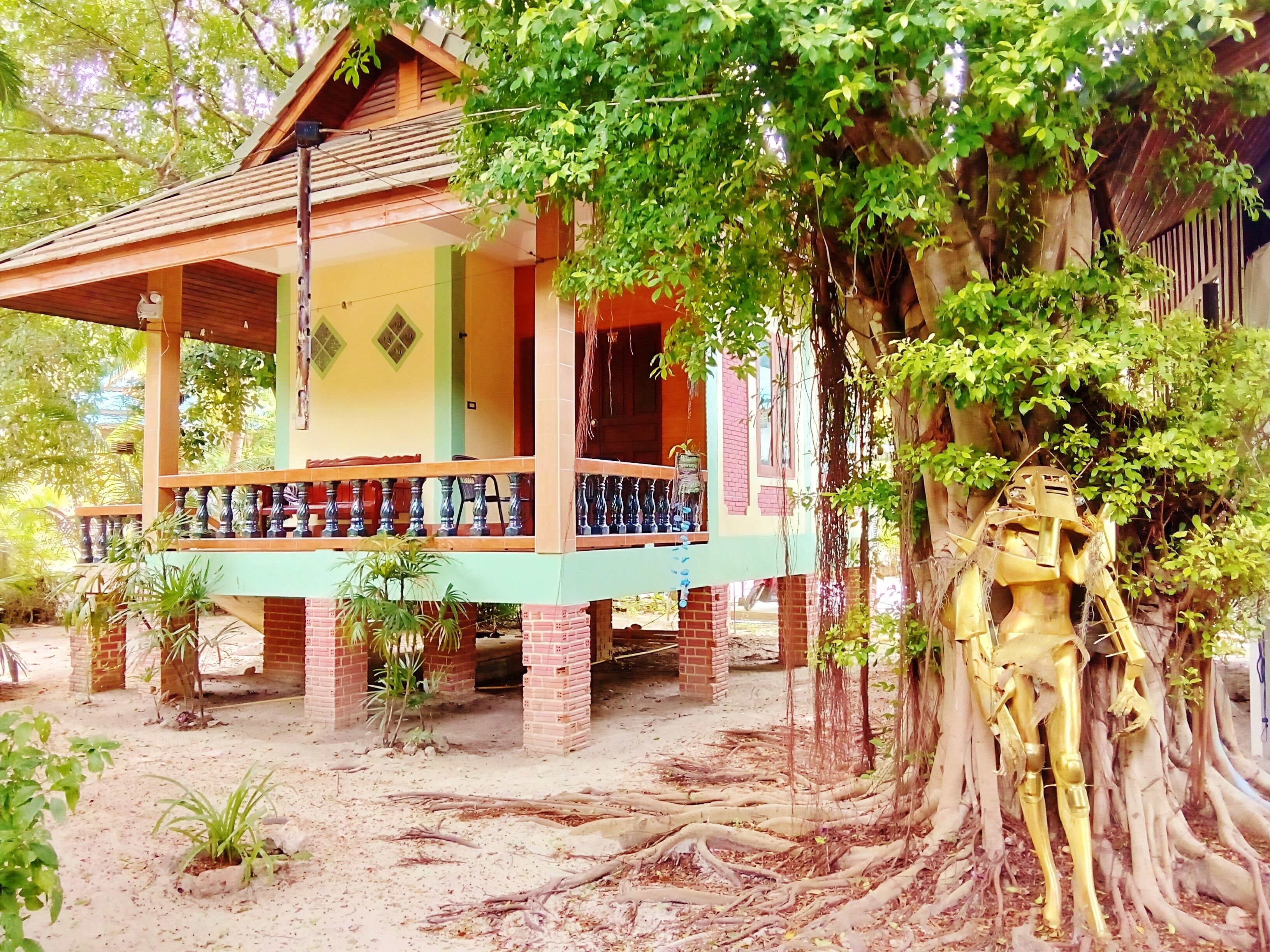 Une maison à deux étages dotée d’un balcon, entourée d’arbres et d’un grand arbre aux racines très développées.