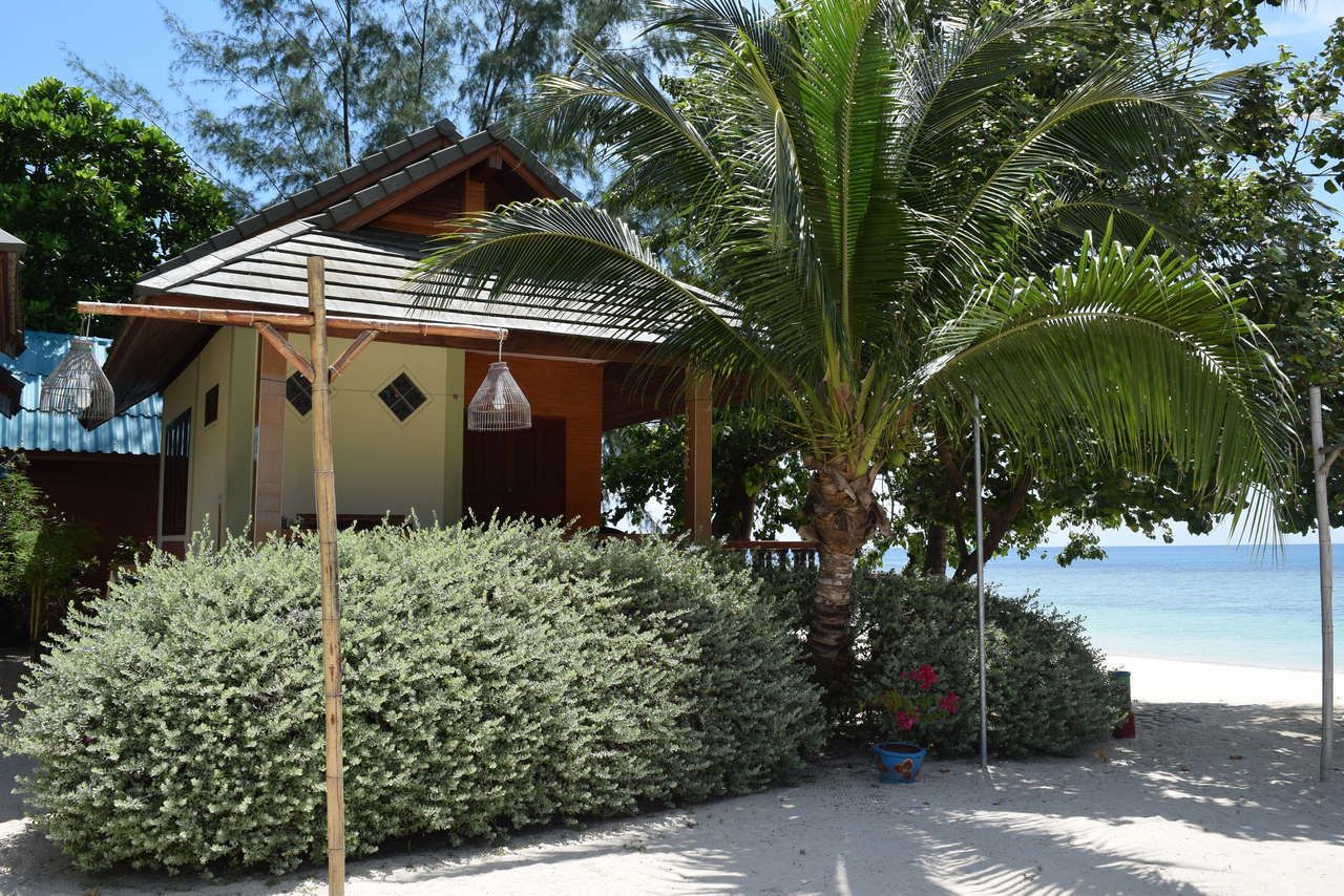 On the Beach | View from room
