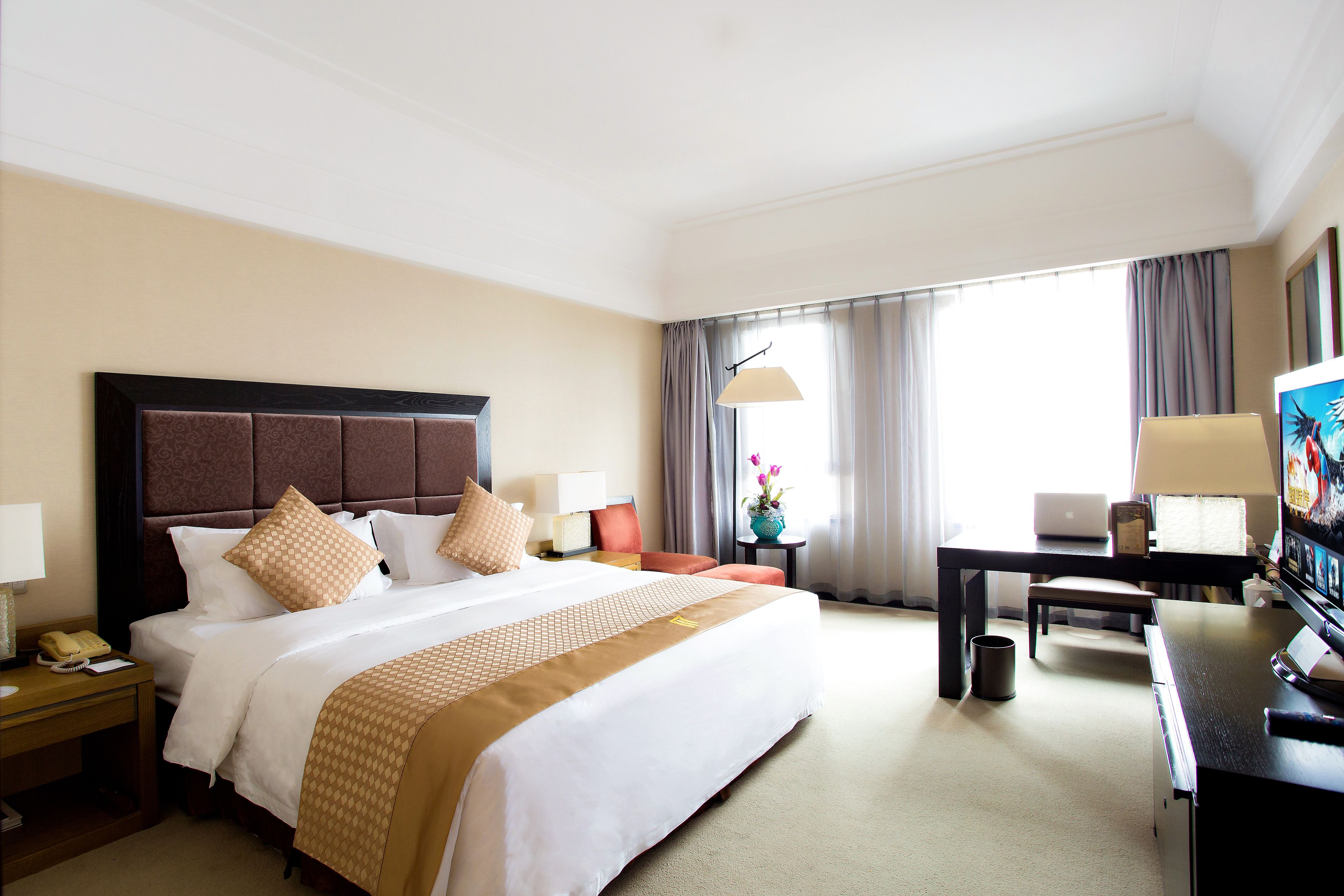 Roupas de cama premium, edredons de pluma