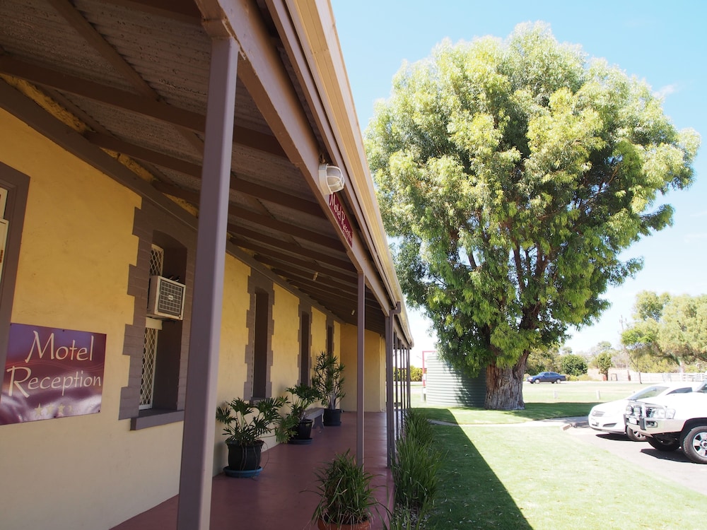 Dongara Hotel Motel by null