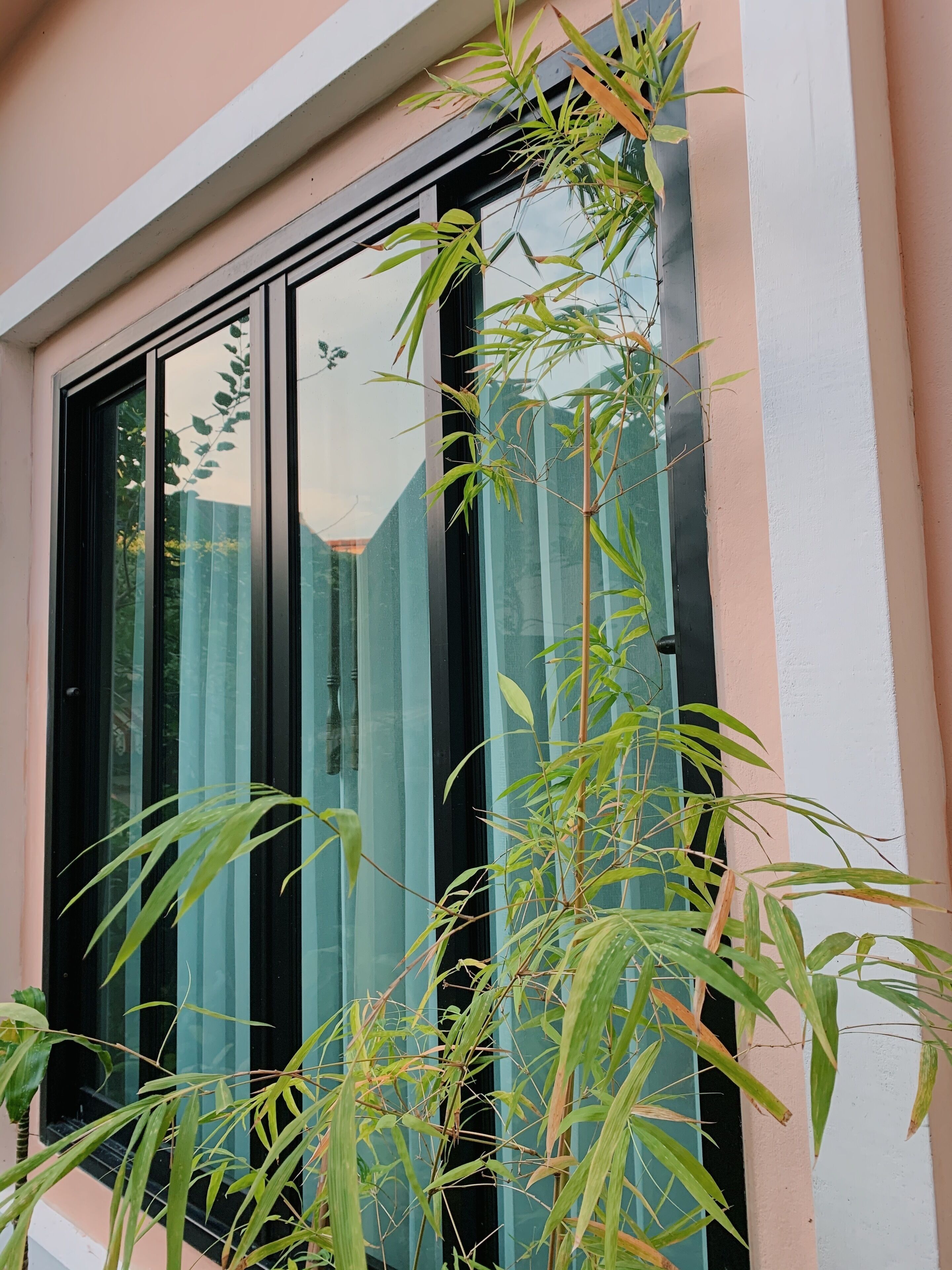 family room | view from room