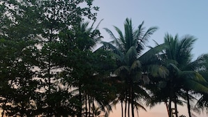 A beach walkway lined with palm trees and a view of the sea. - Ice Kamala Beach Hotel (Kamala)