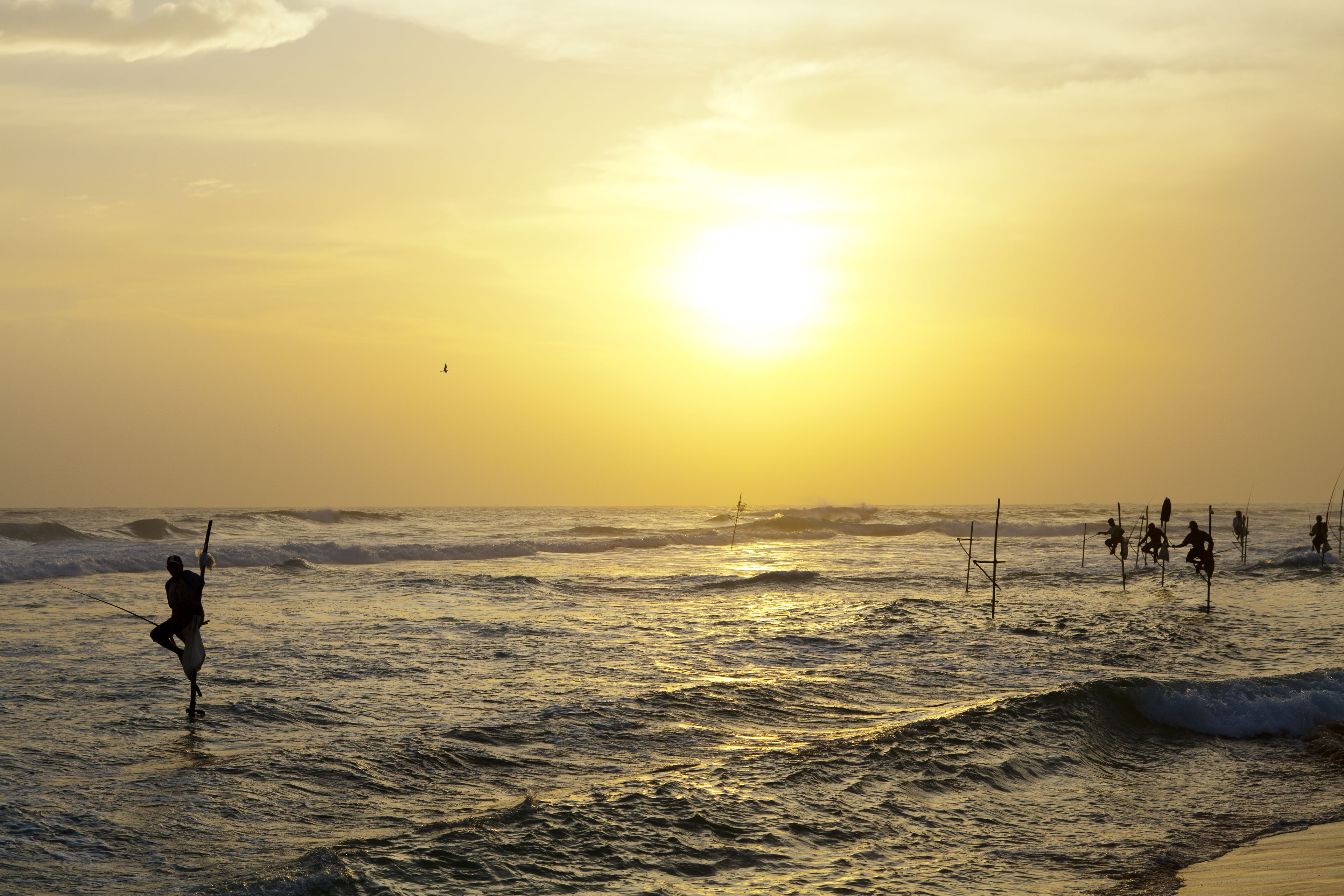 Escena de playa con gente pescando al atardecer.